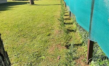 place photo 67