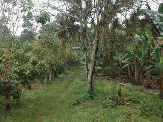 Foto 3 de Finca de Venta en Puerto Limón