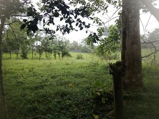 Foto 13 de Finca de Venta en Puerto Limón
