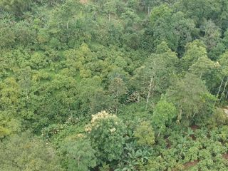 Foto 7 de Finca de Venta en Puerto Limón