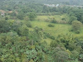Foto 5 de Finca de Venta en Puerto Limón