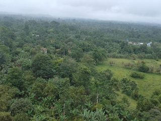 Foto 8 de Finca de Venta en Puerto Limón