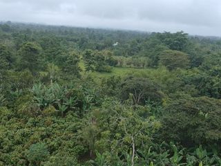 Foto 9 de Finca de Venta en Puerto Limón