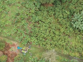 Foto 10 de Finca de Venta en Puerto Limón