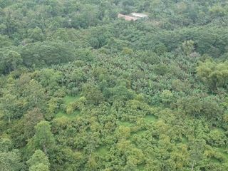 Foto 6 de Finca de Venta en Puerto Limón