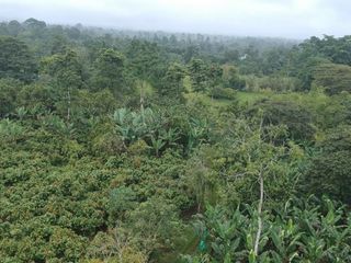 Foto 4 de Finca de Venta en Puerto Limón