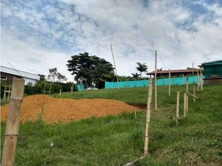 Foto 5 de LOTE PARA VENTA EN PANCE