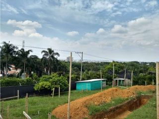 Foto 2 de LOTE PARA VENTA EN PANCE