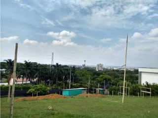 Foto 8 de LOTE PARA VENTA EN PANCE
