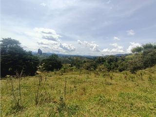Foto 3 de Venta de lote campestres Guatapé Antioquia