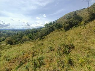 Foto 2 de Venta de lote campestres Guatapé Antioquia