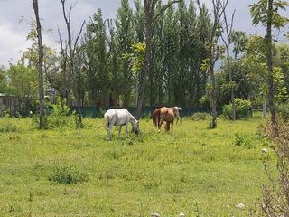 Terreno en Venta Potrero de la Caldera Salta