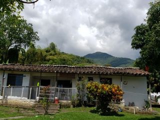 Foto 10 de finca en venta en corregimiento san isidro. Cod V14891