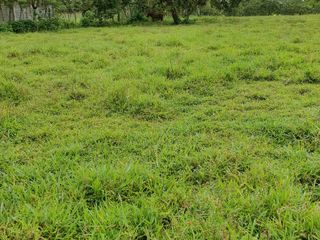 Foto 6 de Venta de TERRENO