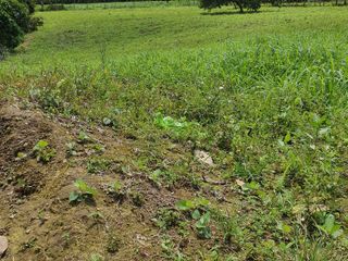 Foto 1 de Venta de TERRENO