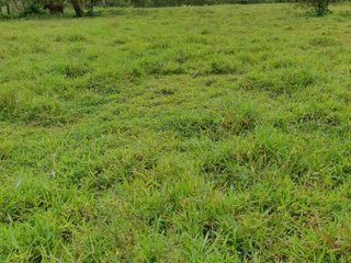 Foto 4 de Venta de TERRENO