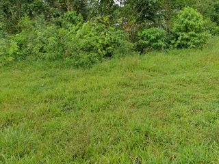 Foto 12 de Venta de TERRENO