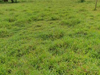 Foto 7 de Venta de TERRENO