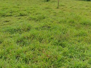 Foto 5 de Venta de TERRENO