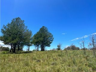 VENTA DE TERRENO BARRIO SEMI CERRADO SAYRI - TLC0734
