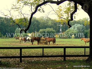 Foto 6 de Estancia Benquerencia Farm Club -  Barrio Cerrado de Chacras 263 Monte, Pcia. de Buenos Aires