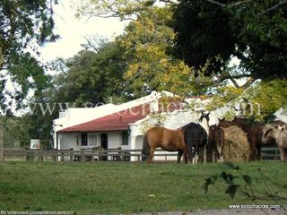 Foto 5 de Estancia Benquerencia Farm Club -  Barrio Cerrado de Chacras 263 Monte, Pcia. de Buenos Aires