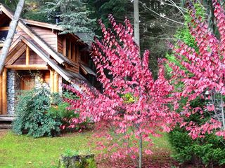 Foto 19 de HERMOSO COMPLEJO DE CABAÑAS - ÚNICO EN LA ZONA