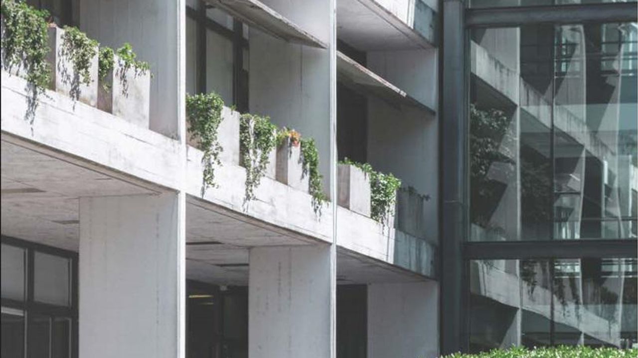 place photo 34