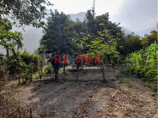 Foto 8 de Ubicado en el distrito de Ricardo Palma (altura del km 42 de la Carretera Central)

Este hermoso terreno de 2,590 m² ofrece un clima primaveral con