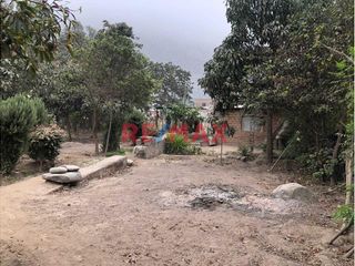 Foto 5 de Ubicado en el distrito de Ricardo Palma (altura del km 42 de la Carretera Central)

Este hermoso terreno de 2,590 m² ofrece un clima primaveral con