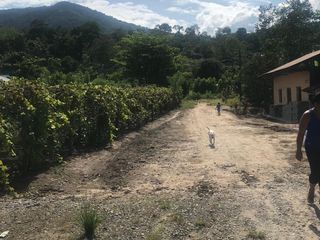 Foto 1 de Aquí tienes una casita sencilla y un entorno natural para que vivas lo que realmente importa: tu propia vida, a tu manera. Solo o en compañía.