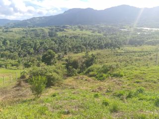 Venta de Lote campestre en Tulua Valle Corregimiento de La Iberia a 12 minutos de Tulua