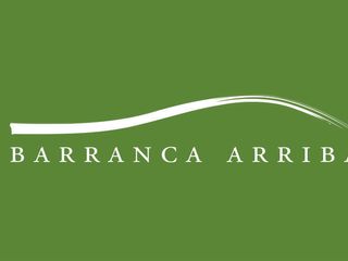 Terreno - Barranca Arriba