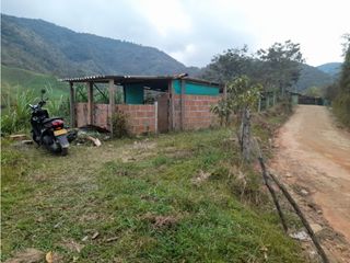 FINCA PARA VENTA GOMEZ PLATA