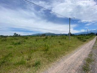 Foto 1 de Terreno - Chicoana