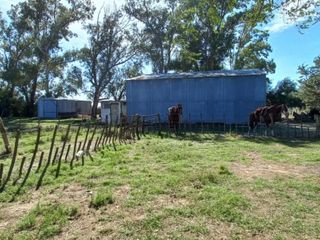 Foto 27 de VENTA DE CAMPO en Partido de Villarino, Provincia de Buenos Aires - APTO CRÌA/RECRÌA - Total 2958 Ha