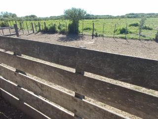 Foto 14 de VENTA DE CAMPO en Partido de Villarino, Provincia de Buenos Aires - APTO CRÌA/RECRÌA - Total 2958 Ha