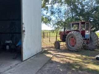 Foto 41 de VENTA DE CAMPO en Partido de Villarino, Provincia de Buenos Aires - APTO CRÌA/RECRÌA - Total 2958 Ha