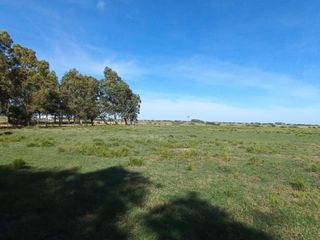 Foto 17 de VENTA DE CAMPO en Partido de Villarino, Provincia de Buenos Aires - APTO CRÌA/RECRÌA - Total 2958 Ha