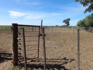 Foto 29 de VENTA DE CAMPO en Partido de Villarino, Provincia de Buenos Aires - APTO CRÌA/RECRÌA - Total 2958 Ha