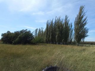 Foto 9 de VENTA DE CAMPO en Partido de Villarino, Provincia de Buenos Aires - APTO CRÌA/RECRÌA - Total 2958 Ha