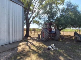 Foto 28 de VENTA DE CAMPO en Partido de Villarino, Provincia de Buenos Aires - APTO CRÌA/RECRÌA - Total 2958 Ha