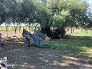 Foto 23 de VENTA DE CAMPO en Partido de Villarino, Provincia de Buenos Aires - APTO CRÌA/RECRÌA - Total 2958 Ha