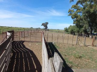 Foto 24 de VENTA DE CAMPO en Partido de Villarino, Provincia de Buenos Aires - APTO CRÌA/RECRÌA - Total 2958 Ha