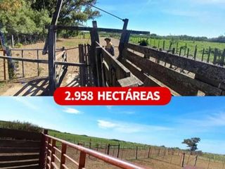 Foto 1 de VENTA DE CAMPO en Partido de Villarino, Provincia de Buenos Aires - APTO CRÌA/RECRÌA - Total 2958 Ha