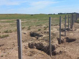 Foto 16 de VENTA DE CAMPO en Partido de Villarino, Provincia de Buenos Aires - APTO CRÌA/RECRÌA - Total 2958 Ha