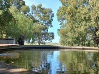 Foto 37 de VENTA DE CAMPO en Partido de Villarino, Provincia de Buenos Aires - APTO CRÌA/RECRÌA - Total 2958 Ha