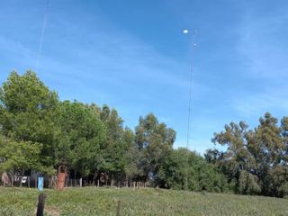 Foto 10 de VENTA DE CAMPO en Partido de Villarino, Provincia de Buenos Aires - APTO CRÌA/RECRÌA - Total 2958 Ha
