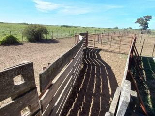 Foto 43 de VENTA DE CAMPO en Partido de Villarino, Provincia de Buenos Aires - APTO CRÌA/RECRÌA - Total 2958 Ha