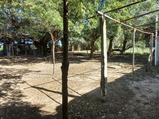 Foto 40 de VENTA DE CAMPO en Partido de Villarino, Provincia de Buenos Aires - APTO CRÌA/RECRÌA - Total 2958 Ha